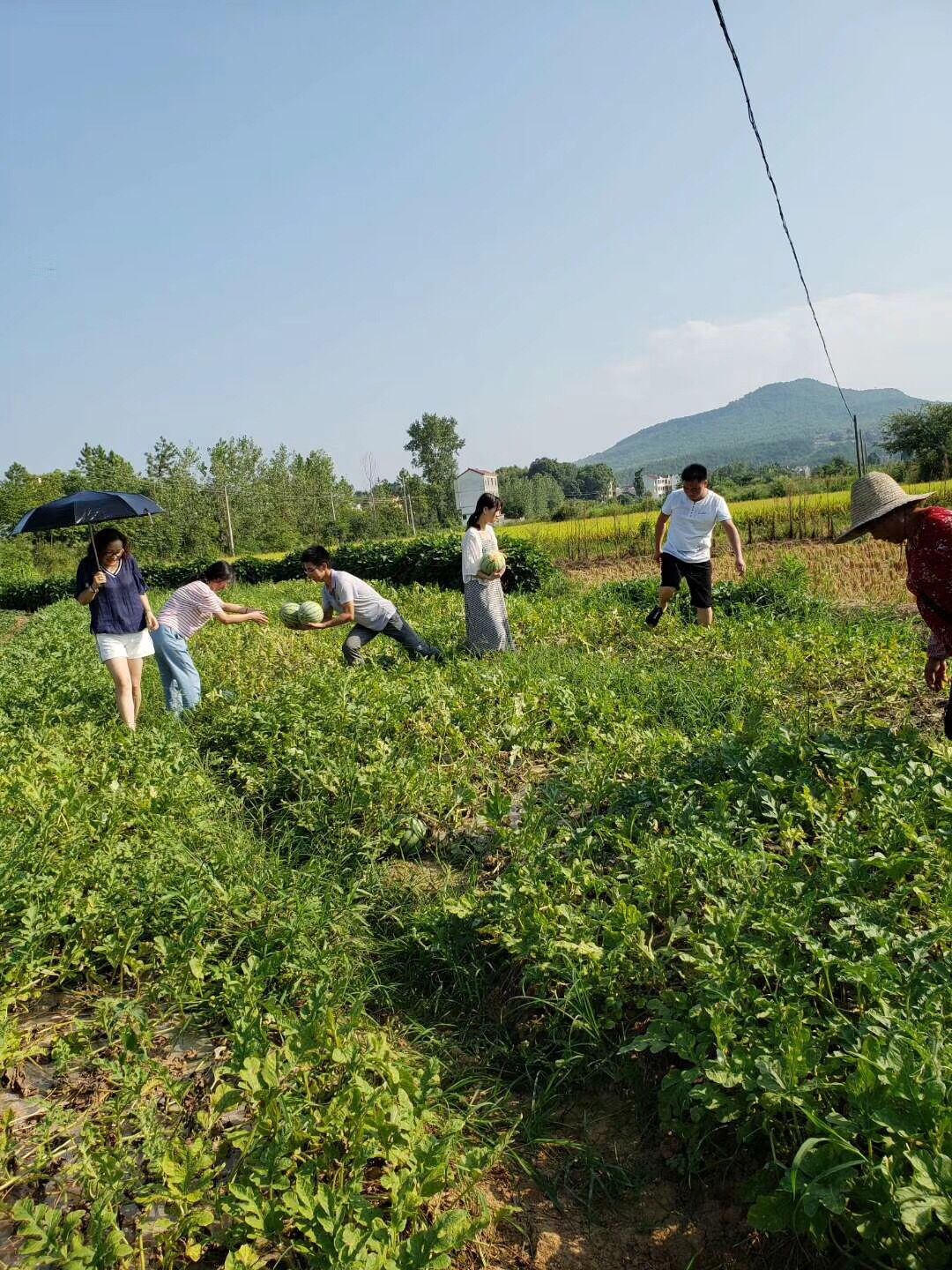 金光道環境建設集團有限公司